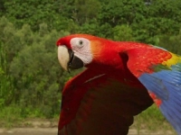 Політ над землею - Скріншот 3