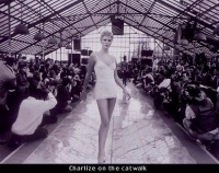 Знаменитість - Скріншот 1