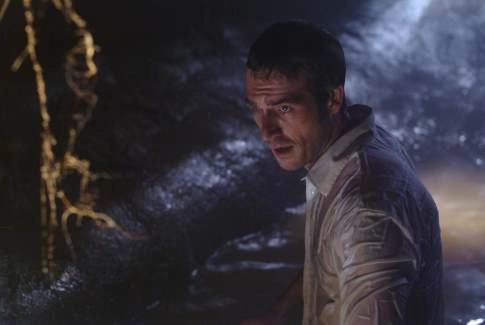 Фонове зображення Крокодил