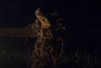 Лузга - Скріншот 1