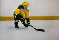 Шайбу! Шайбу! - Скріншот 2