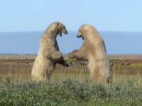 Замерзла планета - Скріншот 2