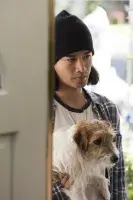 Легкий як пір'їнка - Скріншот 1