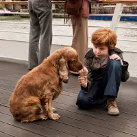 Буль і Білл - Скріншот 1