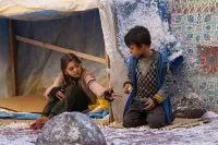 Жар-птиці - Скріншот 3