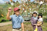 Диво яблука - Скріншот 1