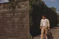 Кривавий кулак - Скріншот 1