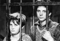 Чистильники взуття - Скріншот 1