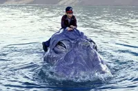 Динозавр Ми-ши: Хазяїн озера - Скріншот 4