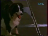 Повернення додому - Скріншот 3