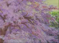 Анна із зелених дахів - Скріншот 1