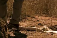 Оголений страх - Скріншот 1