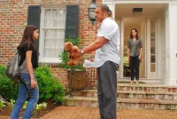 Супровідник - Скріншот 2