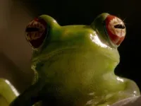 Дива життя - Скріншот 4