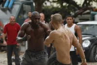 Іржа і кістка - Скріншот 3