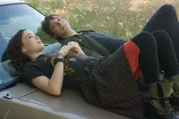 Котися! - Скріншот 4