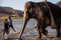 Втеча за Фіоною - Скріншот 3