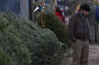 Ясність б'є - Скріншот 2