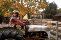 Зятьок - Скріншот 4