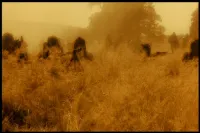 Авалон - Скріншот 3