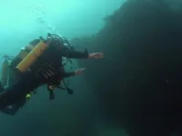 BBC: Океани - Скріншот 2