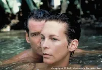 Кравець з Панами - Скріншот 1