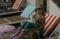 Собача проблема - Скріншот 4