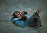 Король скейтборду. Найбільш вертикальний примат - Скріншот 4