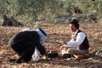 Подорож Марка Твена до Єрусалиму - Скріншот 4