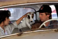 Бездоганна репутація - Скріншот 4