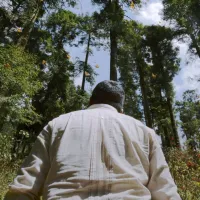 Оборонець монархів - Скріншот 3