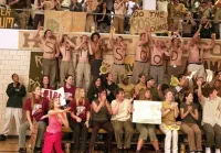 Правда й нічого крім - Скріншот 1