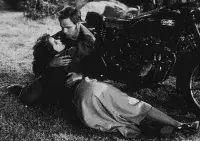 Дикун - Скріншот 2