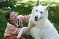 Лампо: Вірний пес - Скріншот 3