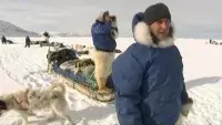 Арктика з Брюсом Перрі - Скріншот 4