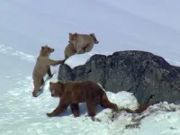 Дика Північна Америка - Скріншот 1