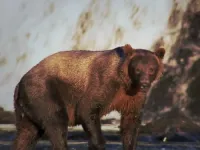 Дика Північна Америка - Скріншот 4