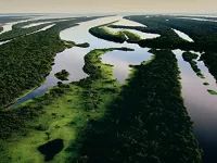 Дикі острови - Скріншот 4