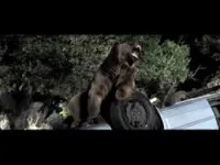 Грізлі - Скріншот 4