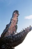 Кривавий серфінг - Скріншот 2