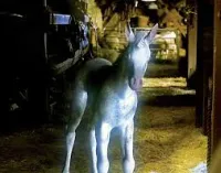 Маленький єдиноріг - Скріншот 3