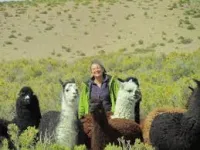 Нарковійни - Скріншот 4