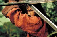 Невгамовний - Скріншот 2