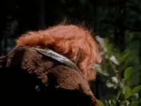 Останній Леприкон - Скріншот 3