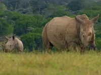 Останній шанс побачити - Скріншот 1