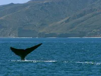 Останній шанс побачити - Скріншот 4