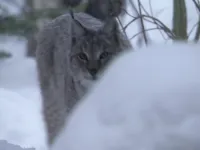 Планета Земля - Скріншот 1