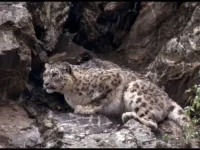 Планета Земля - Скріншот 4