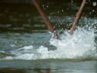 Світ природи - Скріншот 1