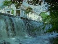 Світ природи - Скріншот 2